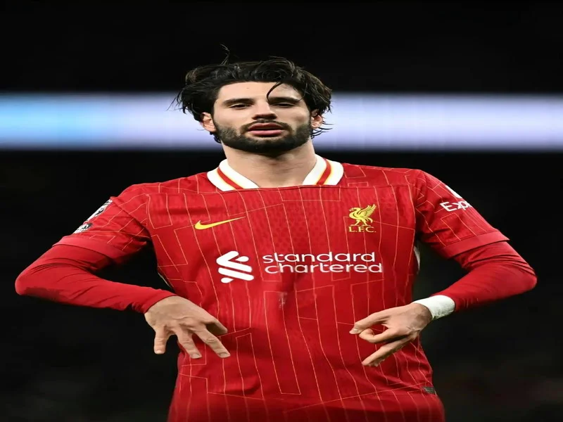 6场比赛全部踢满!利物浦官方:索博当选队内11月最佳球员